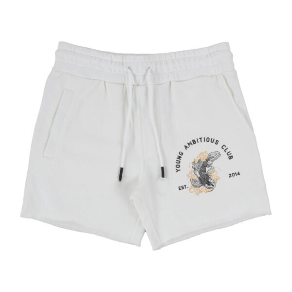 Fashion Brand Leisure Sports Men Running Exercise Gym Training Cotton Shorts - Image 3
